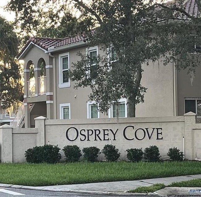 2842 Osprey Cove Pl in Kissimmee, FL - Building Photo - Building Photo