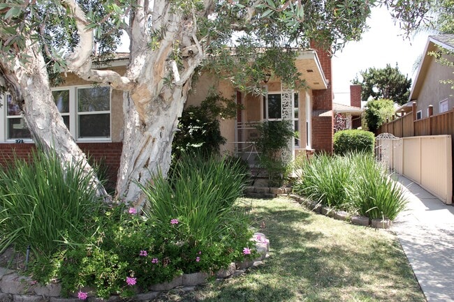 property at 272 Termino Ave