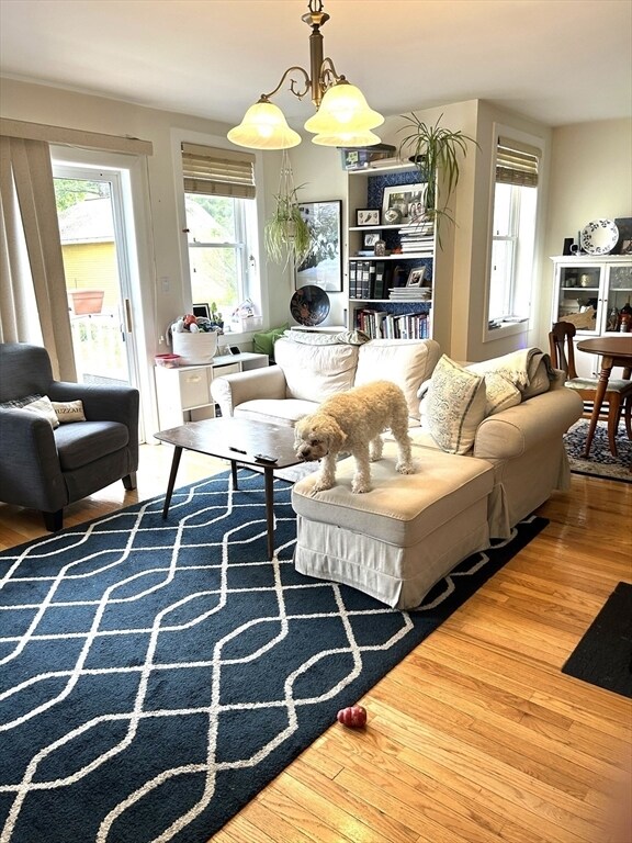 30 Ripley St in Newton, MA - Building Photo - Building Photo
