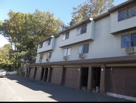 356 Waterville St in Waterbury, CT - Building Photo