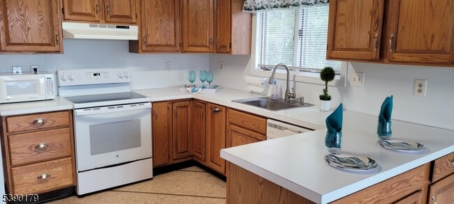 107 N Bertrand Rd in Mount Arlington, NJ - Building Photo - Building Photo