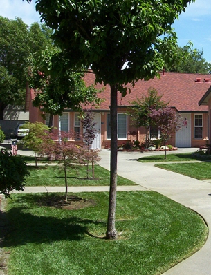 Ashley Senior Apartments in Woodland, CA - Building Photo - Building Photo