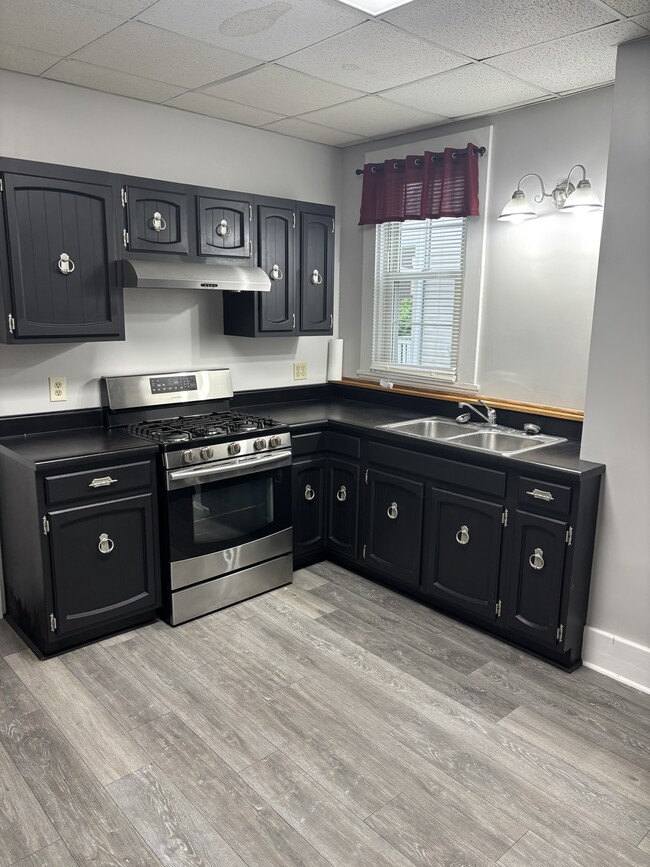 446 Virginia Ave in Rochester, PA - Building Photo - Building Photo