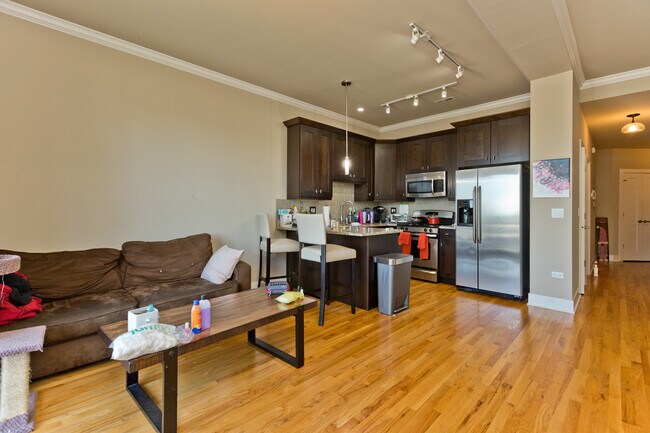 207 E 31st St, Unit 4F in Chicago, IL - Building Photo - Building Photo