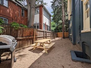 1073 N Downing St in Denver, CO - Building Photo - Building Photo