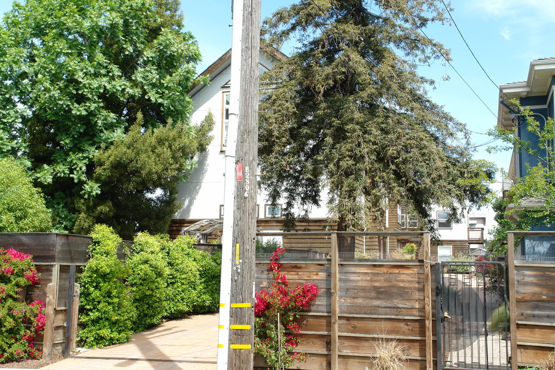 1109 Hearst Ave in Berkeley, CA - Building Photo