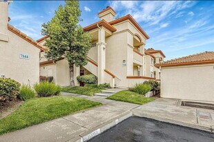 7148 Dublin Meadows St in Dublin, CA - Building Photo