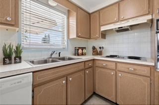 4031 Reggie Dr in Holiday, FL - Building Photo - Building Photo