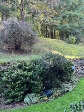 630 Britton Creek Dr in Hendersonville, NC - Building Photo - Building Photo