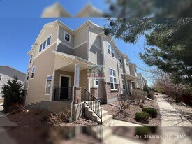 2651 Stonecrop Ridge Grove in Colorado Springs, CO - Building Photo