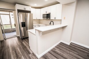 2210 Fletchers Point Cir in Tampa, FL - Building Photo