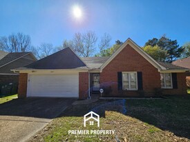 6667 Winding Birch Dr in Memphis, TN - Building Photo