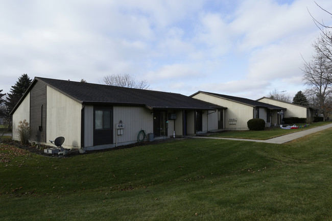 Emerson Manor in Lake Odessa, MI - Foto de edificio - Building Photo