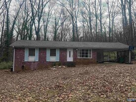 9527 Hemlock Dr SE in Huntsville, AL - Building Photo