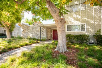 Ardmore Apartments in Studio City, CA - Building Photo - Building Photo