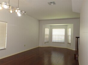 19407 Sandy Springs Cir in Lutz, FL - Building Photo - Building Photo