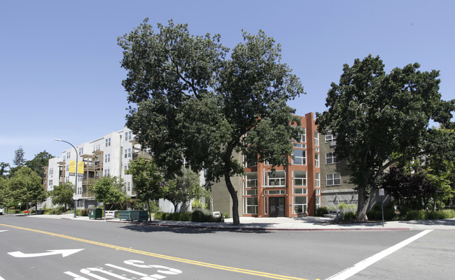 Coggins Square Apartments in Walnut Creek, CA - Building Photo - Building Photo