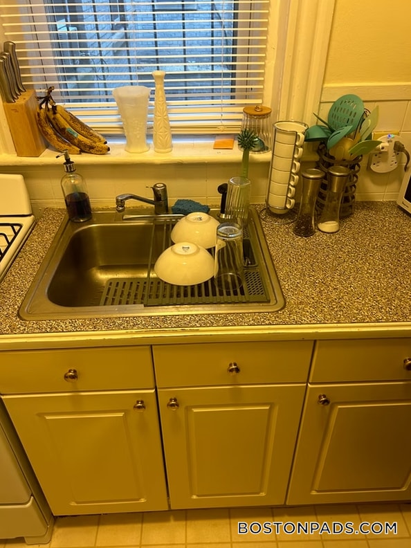 211 Park Dr, Unit 2 in Boston, MA - Building Photo - Building Photo