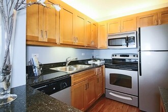 300 N Columbus Dr in Chicago, IL - Building Photo - Building Photo