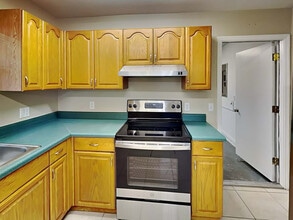 4325 Longshore Dr in Land O Lakes, FL - Building Photo - Building Photo