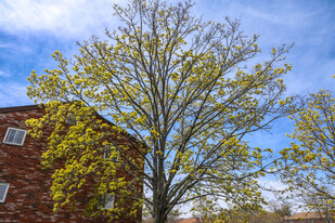 35 Westgate Rd, Unit 4 in Boston College, MA - Building Photo