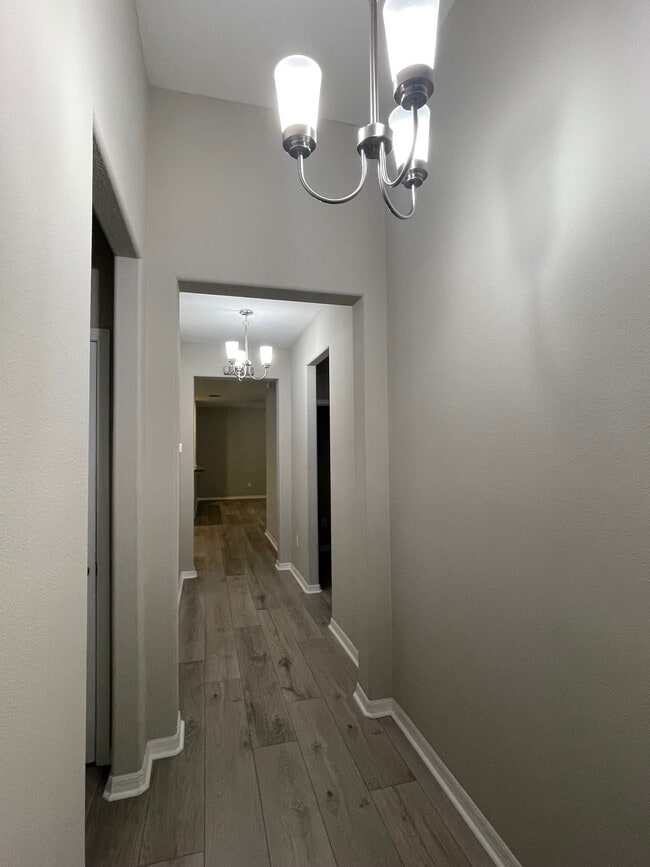21117 Passive Porch Dr in Land O Lakes, FL - Building Photo - Building Photo