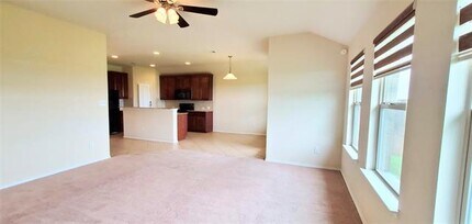 2832 Cresent Lake Dr in Little Elm, TX - Building Photo - Building Photo