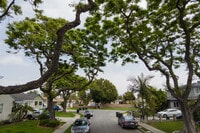 Apartamentos en Haywood County, TN