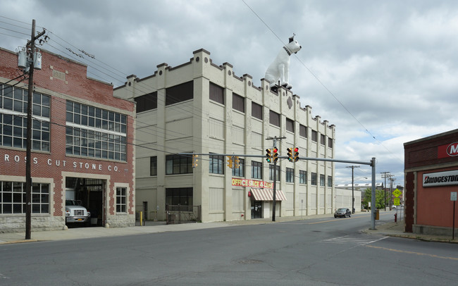 Nipper Building in Albany, NY - Building Photo - Building Photo