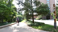 Crystal City