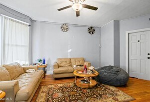 569 Washington Ave, Unit 1st Floor in Albany, NY - Building Photo