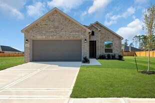 27079 Badger Way in Magnolia, TX - Building Photo