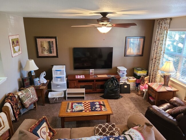 1981 Amber Sun Ct in Castle Rock, CO - Building Photo - Building Photo