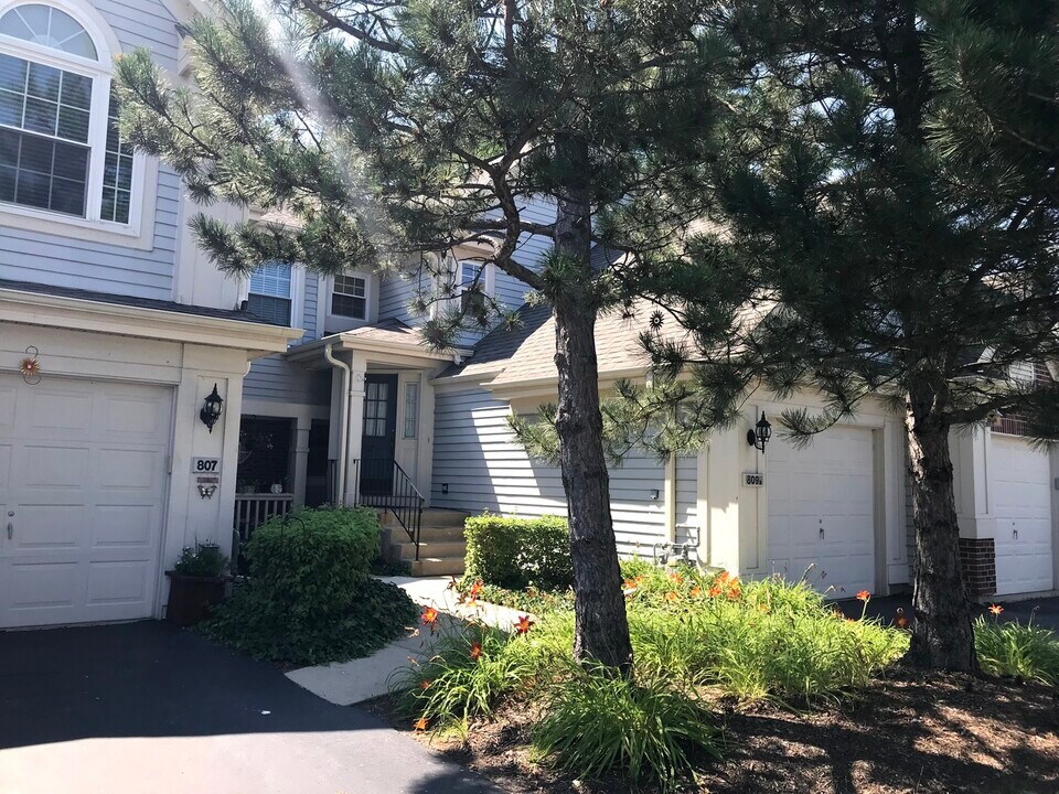 809 Spring Creek Ct in Elk Grove Village, IL - Building Photo