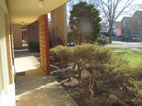 33 N Clifton Ave in Park Ridge, IL - Building Photo - Building Photo