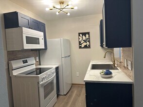 1211 Sorrel Creek Dr in Canyon Lake, TX - Building Photo - Building Photo