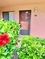141 Lakeside Dr in Oldsmar, FL - Building Photo