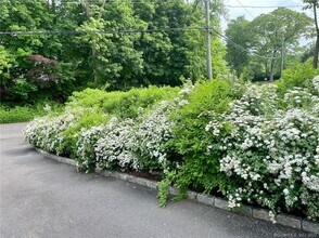 71 Elm Pl in New Canaan, CT - Building Photo - Building Photo