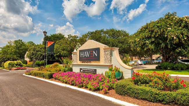 Haven Apartments photo'