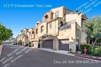 31179 Strawberry Tree Ln in Temecula, CA - Building Photo - Building Photo