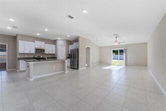 5454 Blue Azure Dr in Wimauma, FL - Building Photo - Building Photo