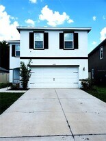 32871 Brooks Hawk Ln in Wesley Chapel, FL - Building Photo