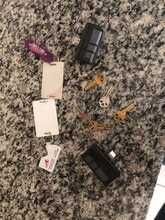 32562 Canyonlands Dr in Wesley Chapel, FL - Building Photo - Building Photo