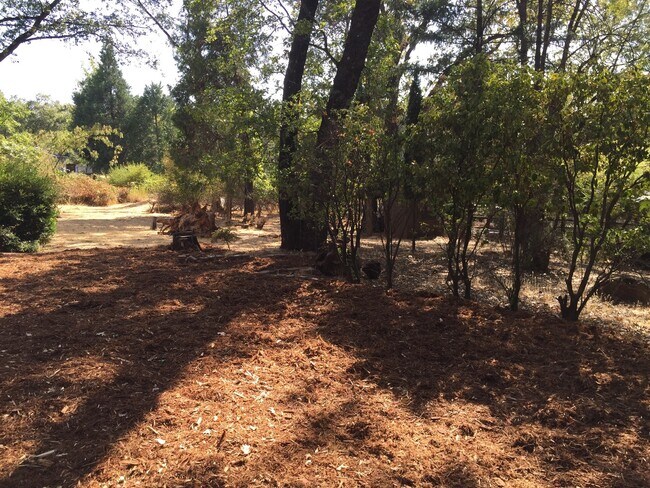 3210 Manzanita Ln in Meadow Vista, CA - Building Photo - Building Photo