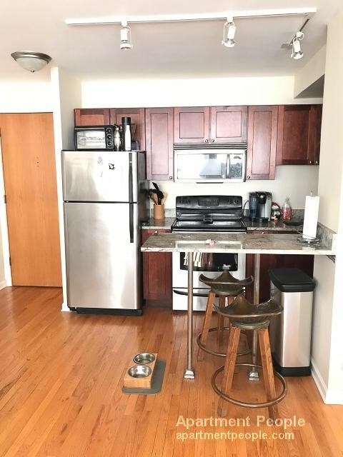 4180 N Marine Dr-Unit -1102 in Chicago, IL - Building Photo - Building Photo