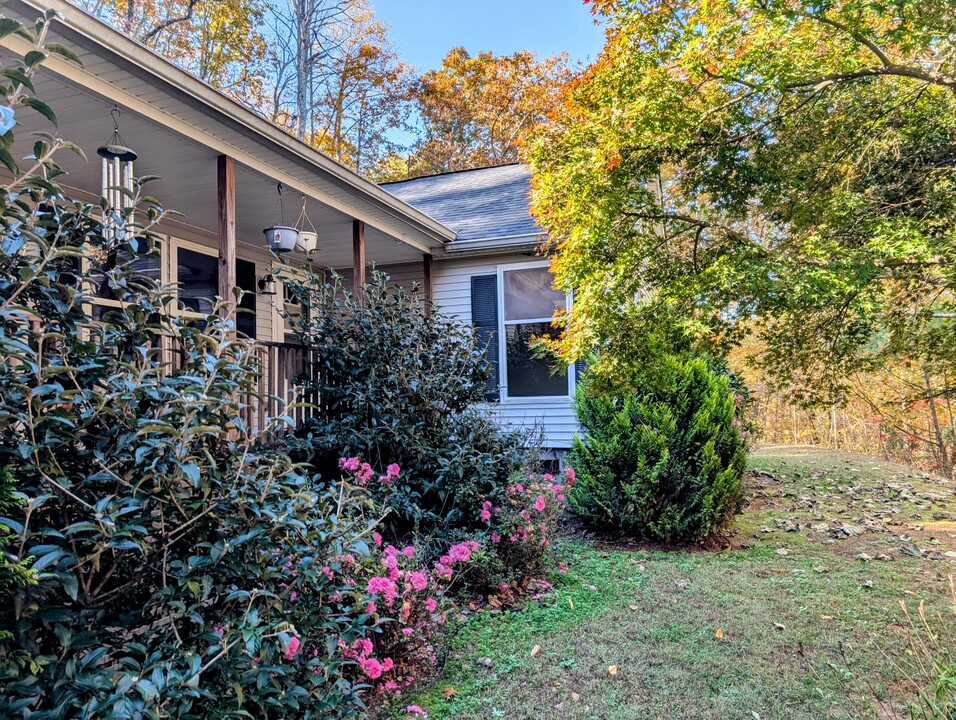 25 Silver Maple Ln in Rabun Gap, GA - Building Photo