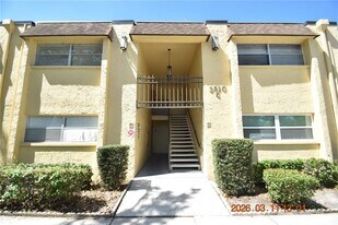 3910 44th St N in St. Petersburg, FL - Building Photo