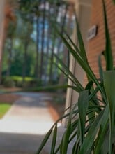 Staten Crossing Apartments in Valdosta, GA - Foto de edificio - Building Photo