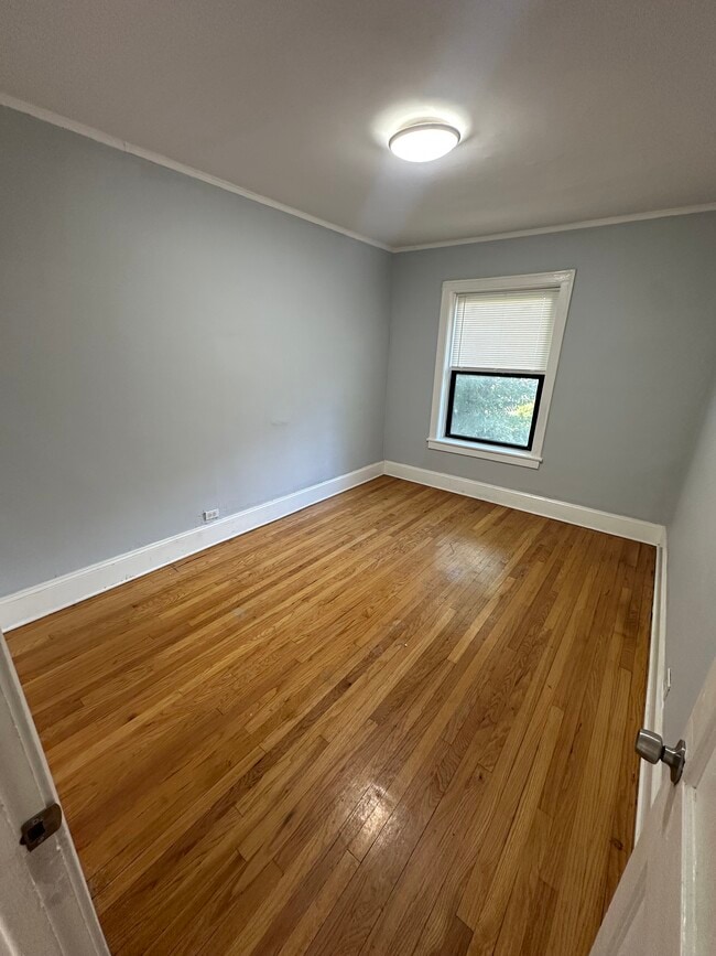7331 N Honore St, Unit 2A in Chicago, IL - Building Photo - Building Photo