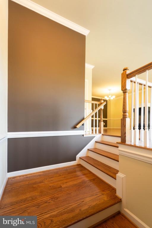 14564 Riverwind Terrace in Centreville, VA - Building Photo - Building Photo